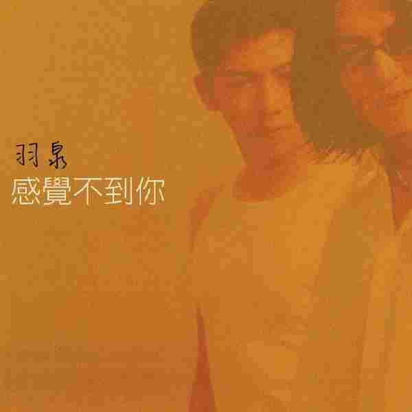 羽泉.1999-感觉不到你（台版）【滚石】【WAV+CUE】