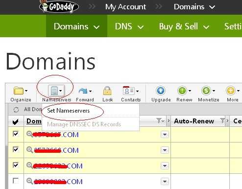 最新2014年godaddy批量修改DNS图文教程